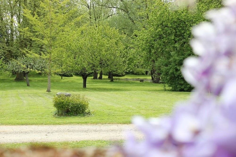 Bed and Breakfast Domaine Pont Juillet Fontaines  Esterno foto